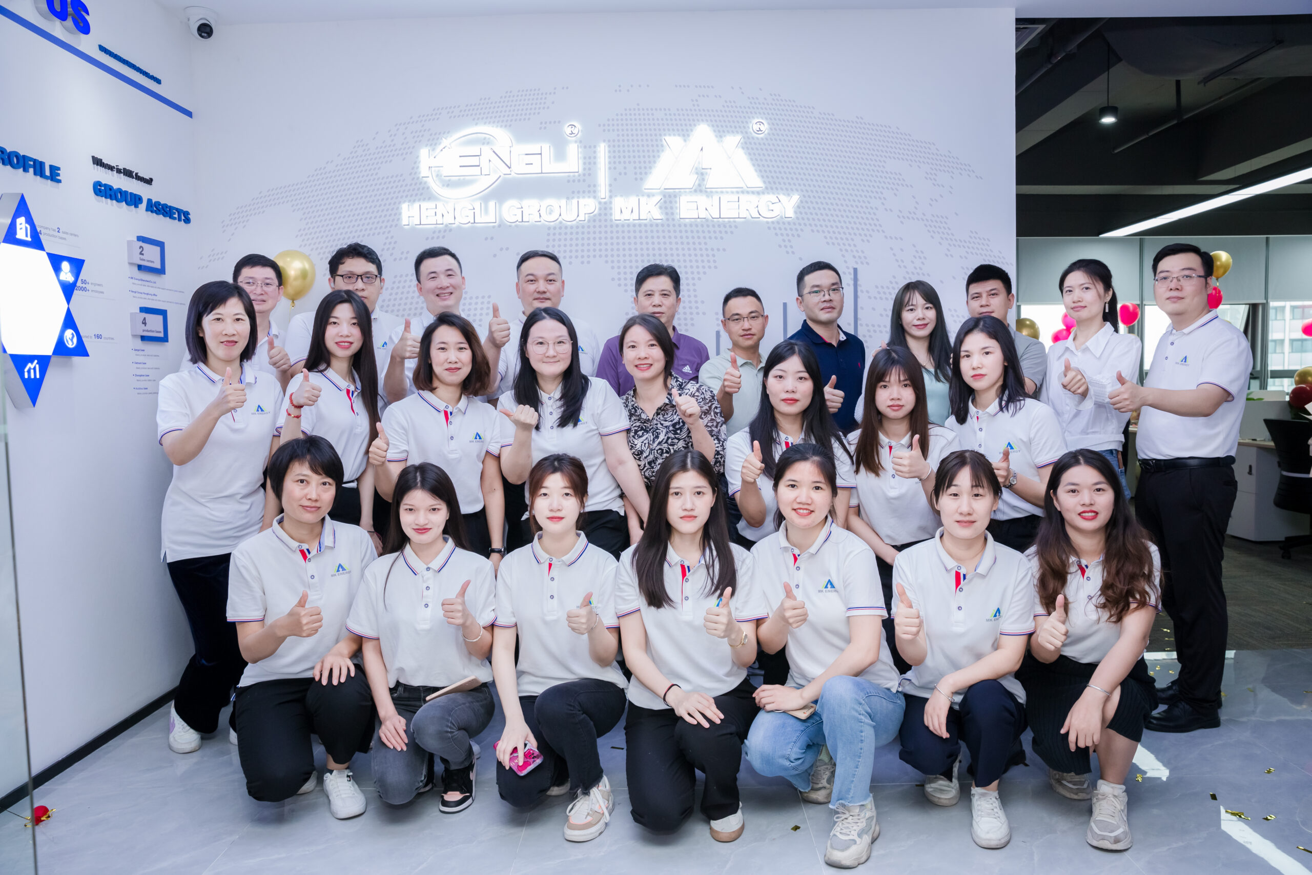Global Battery Supplier 2