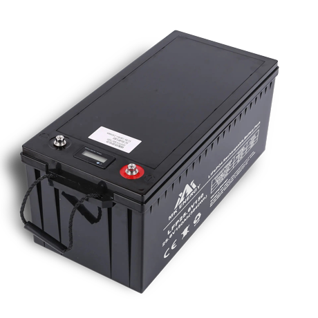 LiFePO4 Lead Acid Case Battery35