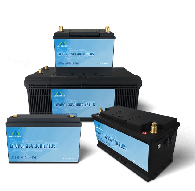 LiFePO4 Battery Manufacturer 30