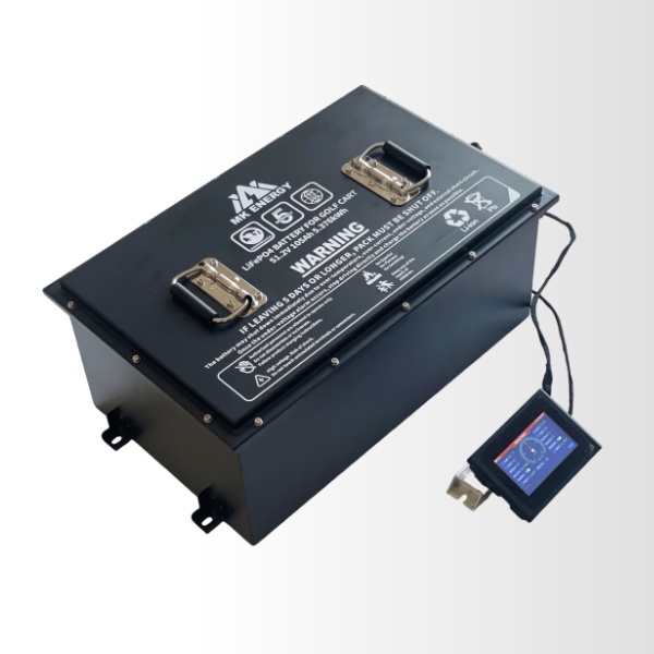 tricycle & four wheeled vehicle lifepo4 battery