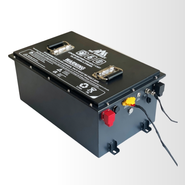 tricycle & four wheeled vehicle lifepo4 battery2