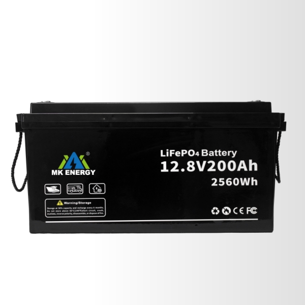 Lead-acid Case LiFePO4 Battery