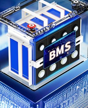 bms banner